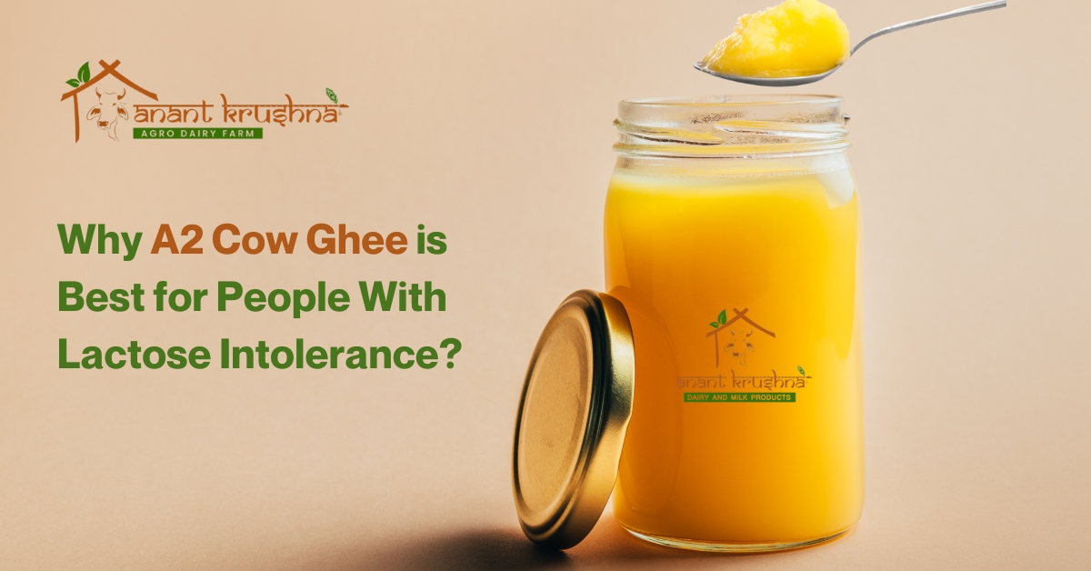 Why A2 Cow Ghee is Best for People With Lactose Intolerance?