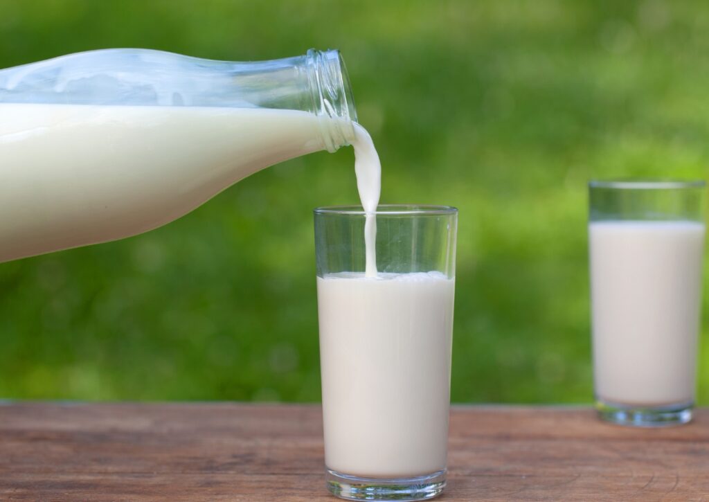 a2 buffalo milk in pcmc