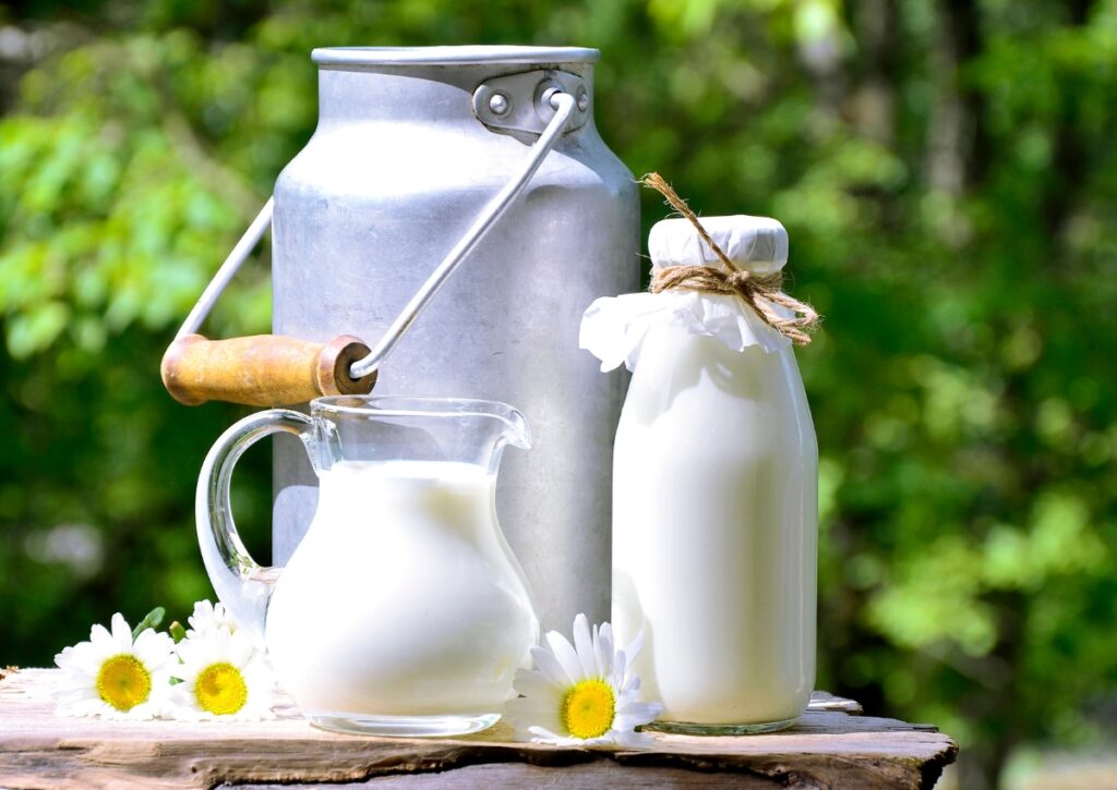 farm fresh cow milk in nigdi