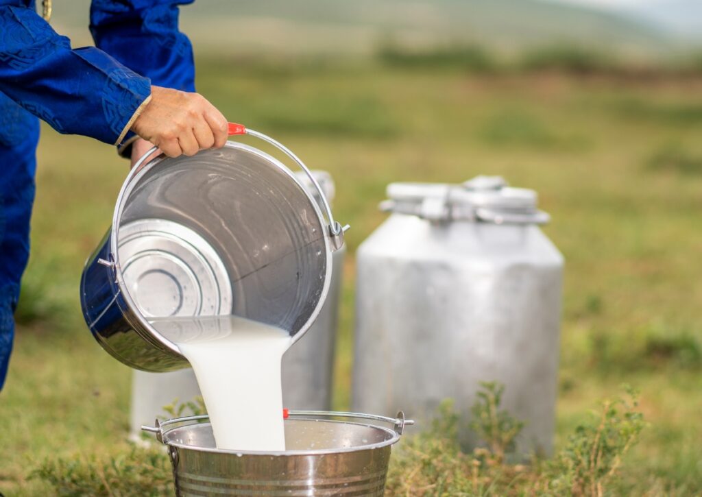 farm fresh cow milk in ravet