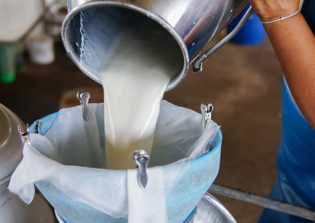 raw cow milk in nigdi