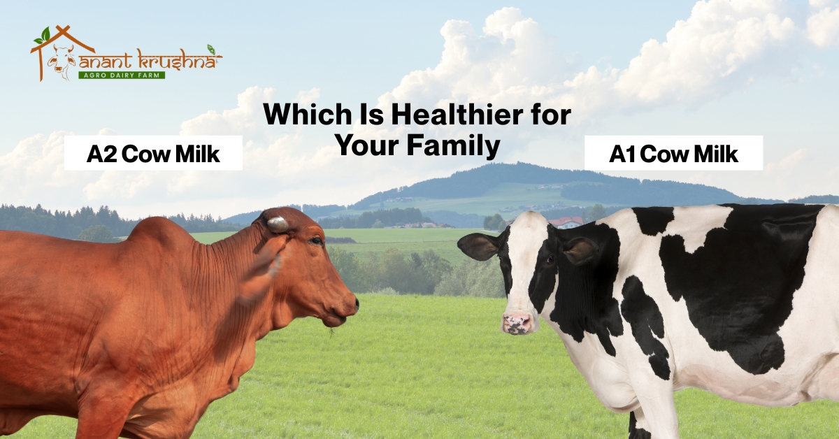 A2 vs A1 Milk: Which Is Healthier for Your Family