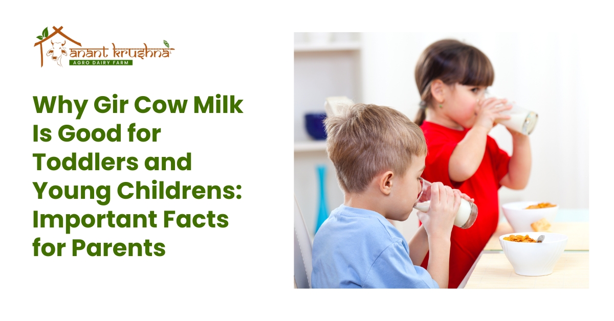 Why Gir Cow Milk Is Good for Toddlers and Young Childrens: Important Facts for Parents
